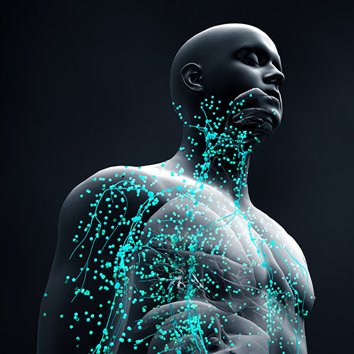 The Human Microbiome: How the Germs That Live Inside You Control Your Health